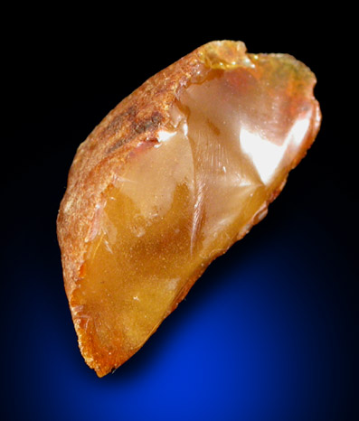 Amber - Cretaceous Fossilized Tree Resin from Sayreville Clay Pits, northwest of Kennedy Park, Sayreville, Middlesex County, New Jersey