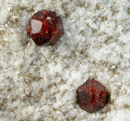 Almandine Garnet from Casco, Cumberland County, Maine