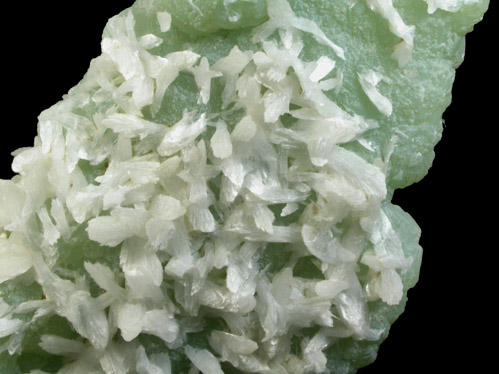 Thomsonite on Prehnite from Burger's Quarry (Lower New Street Quarry), Paterson, Passaic County, New Jersey