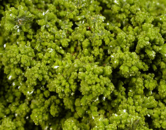 Pyromorphite and Wulfenite on Pyrophyllite from Allah Cooper (Valcooper) Mine, Contrary Creek District, near Mineral, Louisa County, Virginia