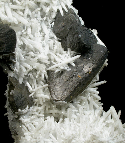 Sphalerite and Quartz from Dalnegorsk, Primorskiy Kray, Russia