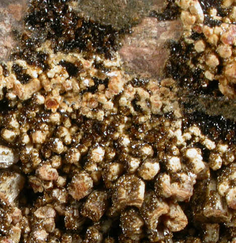 Descloizite and Vanadinite from Mammoth-St. Anthony Mine, Tiger, Mammoth District, Pinal County, Arizona