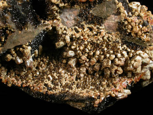 Descloizite and Vanadinite from Mammoth-St. Anthony Mine, Tiger, Mammoth District, Pinal County, Arizona