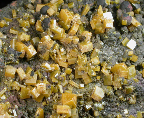 Wulfenite from Glove Mine, Santa Rita Mountains, Santa Cruz County, Arizona