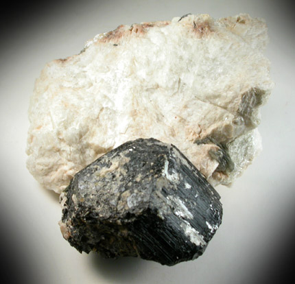 Schorl Tourmaline from Long Hill, Haddam, Middlesex County, Connecticut
