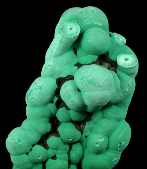 Malachite from Copper Queen Mine, Bisbee, Cochise County, Arizona