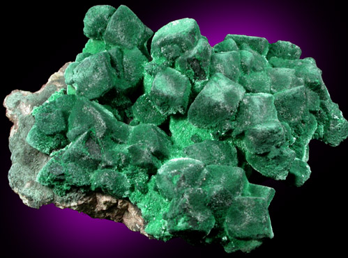 Malachite pseudomorphs after Azurite from New Cornelia Mine, Ajo, Pima County, Arizona