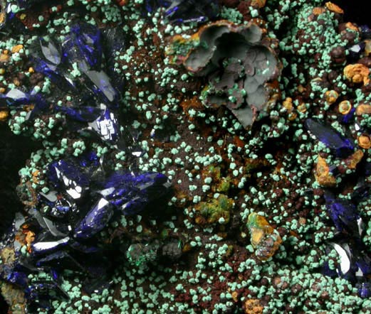 Azurite with Malachite pseudomorphs after Cuprite from Copper Queen Mine, Bisbee, Warren District, Cochise County, Arizona
