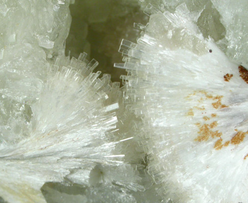 Pectolite on Datolite from Millington Quarry, Bernards Township, Somerset County, New Jersey