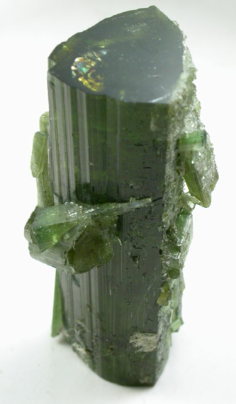 Elbaite Tourmaline from Mount Mica Quarry, Paris, Oxford County, Maine