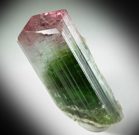 Elbaite Tourmaline from Skardu District, Baltistan, Gilgit-Baltistan, Pakistan