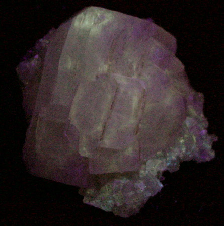 Apophyllite on Datolite from Millington Quarry, Bernards Township, Somerset County, New Jersey