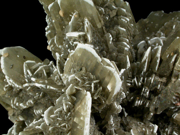 Gypsum from Swift Current, Saskatchewan, Canada