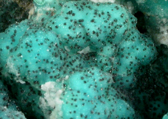 Chrysocolla with Quartz from Northwest of Globe, Gila County, Arizona