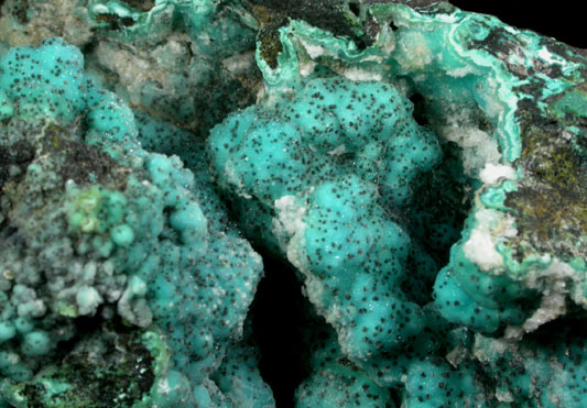 Chrysocolla with Quartz from Northwest of Globe, Gila County, Arizona