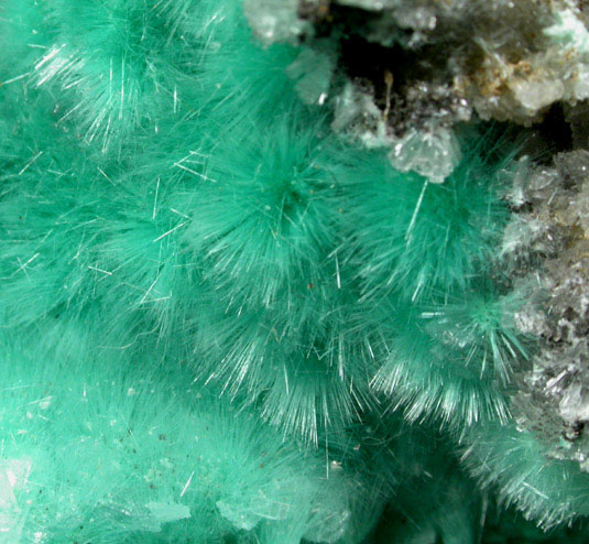 Aurichalcite from 79 Mine, Banner District, near Hayden, Gila County, Arizona