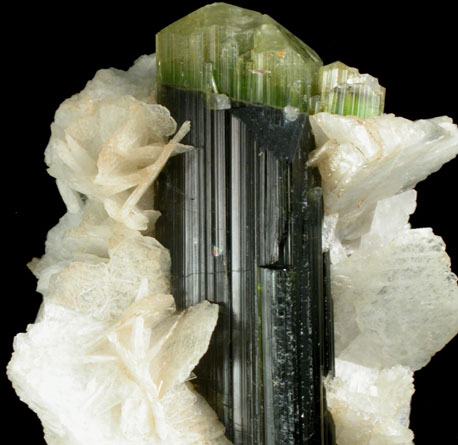 Elbaite Tourmaline with Albite from Stak Nala, Skardu Road, Baltistan, Gilgit-Baltistan, Pakistan