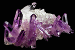 Quartz var. Amethyst from Piedra Parada, near Las Vigas, Tatatila, Veracruz, Mexico