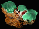 Malachite from Concepcin del Oro, Zacatecas, Mexico