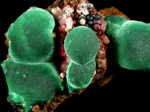 Malachite from Concepcin del Oro, Zacatecas, Mexico
