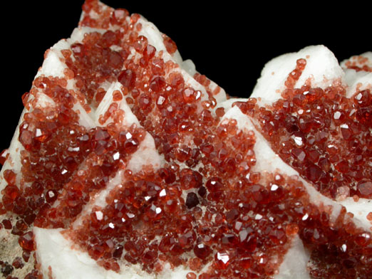 Spessartine Garnet on Albite from Nyet Bruk, Braldu Valley, Gilgit-Baltistan, Pakistan