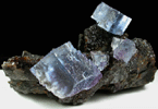 Fluorite on Sphalerite from Minerva #1 Mine, Rosiclare Level, Cave-in-Rock District, Hardin County, Illinois