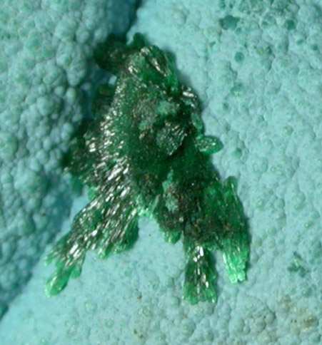 Chrysocolla with Malachite from L'Etoile du Congo Mine, Lubumbashi, Katanga Copperbelt, Haut-Katanga Province, Democratic Republic of the Congo