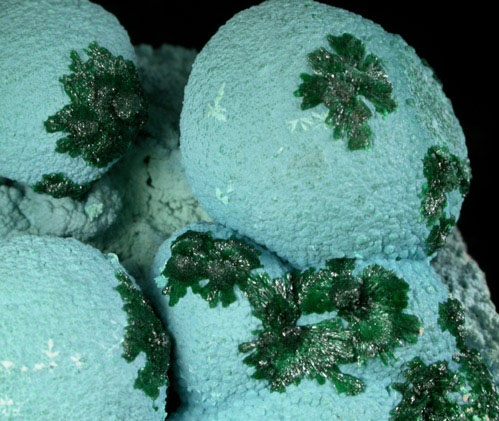 Chrysocolla with Malachite from L'Etoile du Congo Mine, Lubumbashi, Katanga Copperbelt, Haut-Katanga Province, Democratic Republic of the Congo