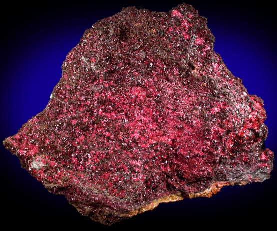 Cuprite var. Chalcotrichite from Clifton District, Greenlee County, Arizona