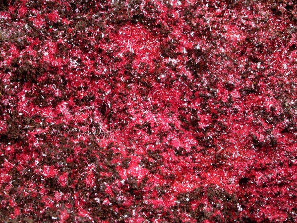 Cuprite var. Chalcotrichite from Clifton District, Greenlee County, Arizona