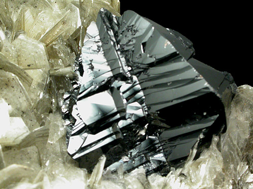 Cassiterite (twinned crystals) on Muscovite from Xuebaoding Mountain near Pingwu, Sichuan Province, China