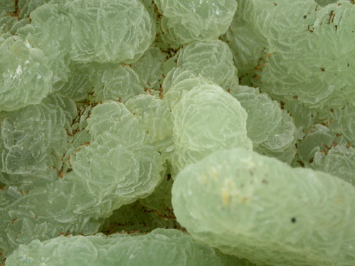 Prehnite pseudomorphs after Anhydrite from Prospect Park Quarry, Prospect Park, Passaic County, New Jersey