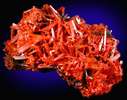 Crocoite from Red Lead Mine, Dundas, Tasmania, Australia