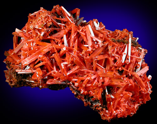 Crocoite from Red Lead Mine, Dundas, Tasmania, Australia