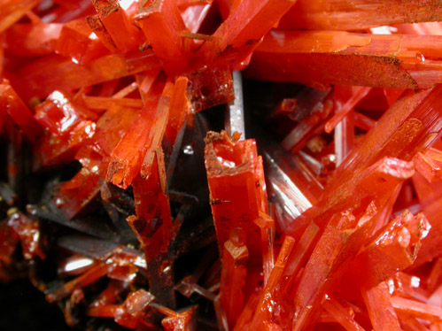 Crocoite from Red Lead Mine, Dundas, Tasmania, Australia