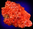 Crocoite from Adelaide Mine, Dundas, Tasmania, Australia