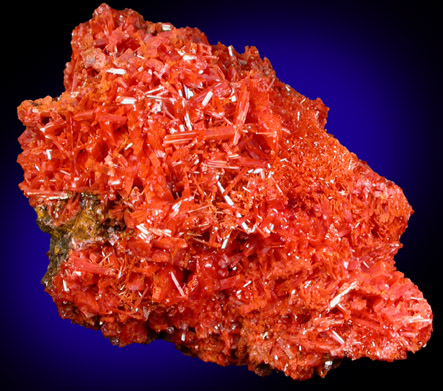 Crocoite from Adelaide Mine, Dundas, Tasmania, Australia