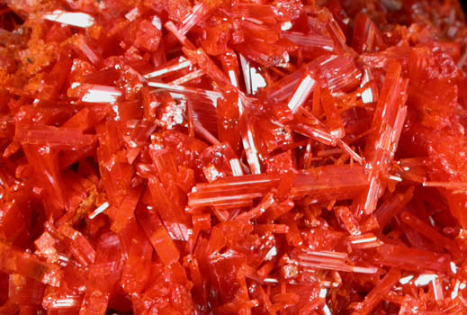 Crocoite from Adelaide Mine, Dundas, Tasmania, Australia