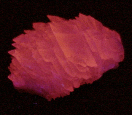 Calcite (Mn-rich) from Mina el Potos, Santa Eulalia District, Aquiles Serdn, Chihuahua, Mexico