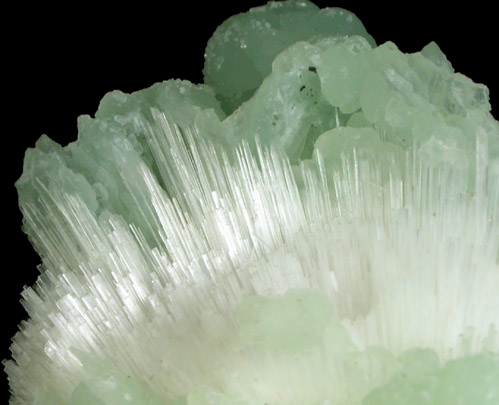 Prehnite pseudomorphs after Anhydrite with Pectolite from Prospect Park Quarry, Prospect Park, Passaic County, New Jersey