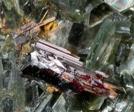 Rutile on Muscovite from Shelby, Cleveland County, North Carolina