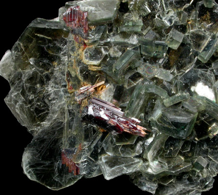 Rutile on Muscovite from Shelby, Cleveland County, North Carolina
