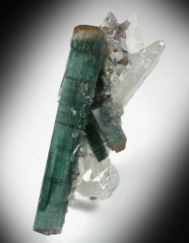 Elbaite Tourmaline with Quartz from Minas Gerais, Brazil