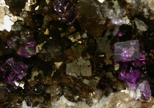 Fluorite from Auglaize Quarry, Junction, Paulding County, Ohio