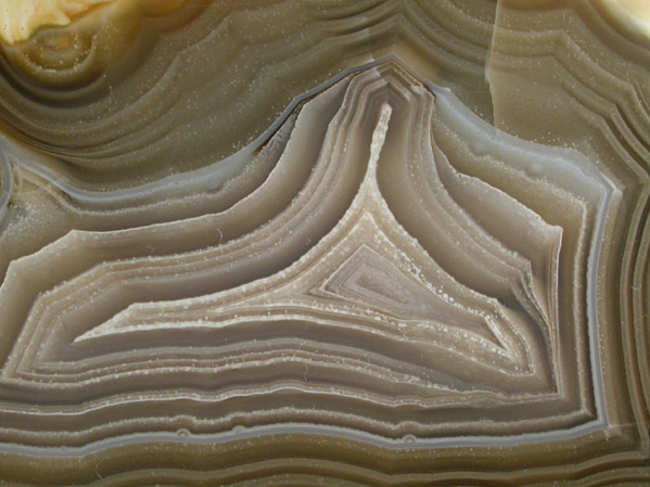 Quartz var. Laguna Agate from Ojo Laguna, Ahumada, Chihuahua, Mexico