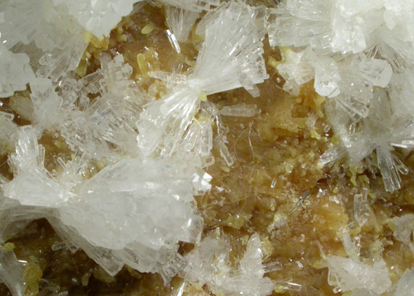 Celestine on Sulfur from Agrigento District (Girgenti), Sicily, Italy