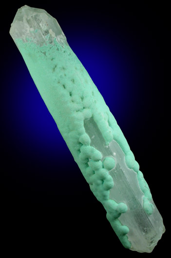 Gypsum var. Selenite coated with Chrysocolla from Chihuahua, Mexico