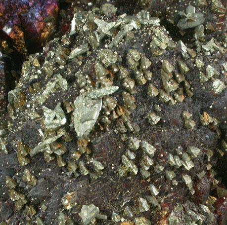 Sphalerite with Marcasite and epitactic Chalcopyrite from Tri-State Lead-Zinc Mining District, near Joplin, Jasper County, Missouri