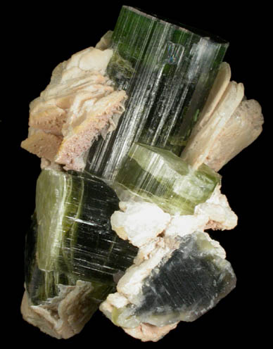 Elbaite Tourmaline with Albite var. Cleavelandite from Stak Nala, Skardu Road, Baltistan, Gilgit-Baltistan, Pakistan