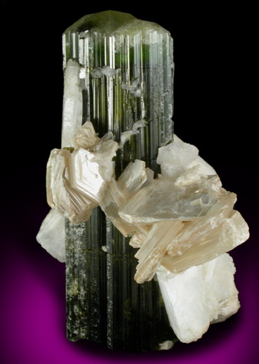 Elbaite Tourmaline with Muscovite and Microcline from Stak Nala, Skardu Road, Baltistan, Gilgit-Baltistan, Pakistan